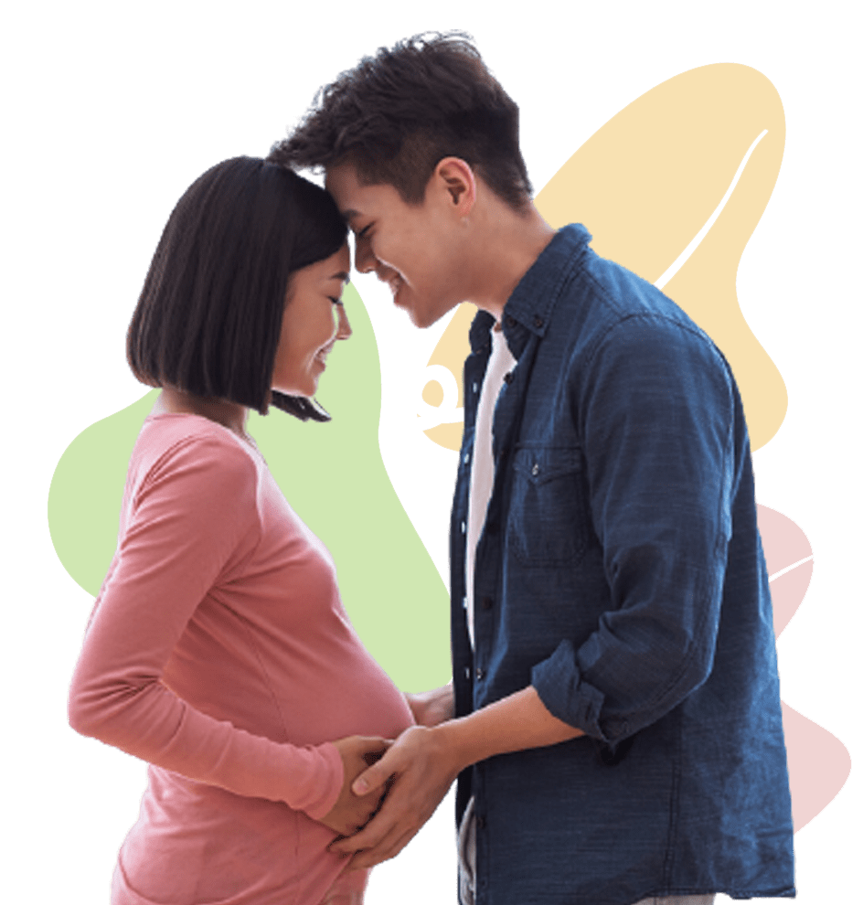 kehamilan sehat home
