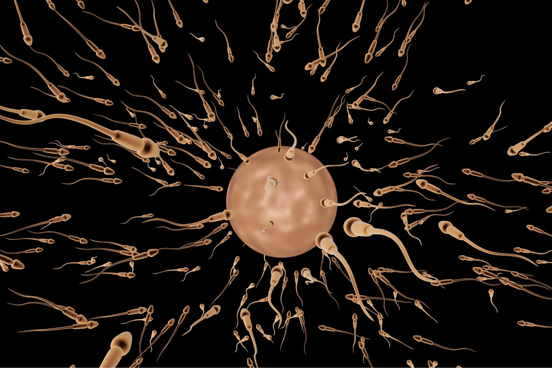 ciri sperma subur dan sehat