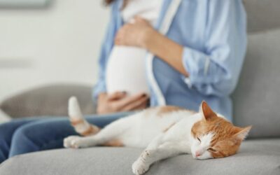 Toxoplasma pada Ibu Hamil: Bahaya, Gejala, dan Pencegahannya