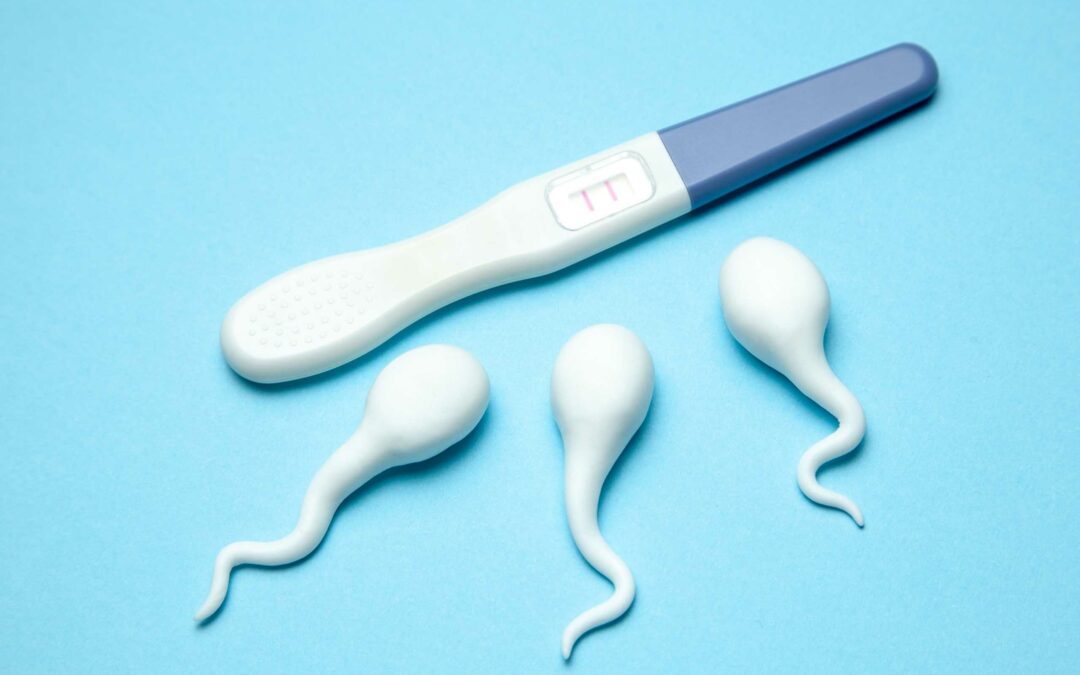 Apakah Menelan Sperma Bisa Hamil? Begini Penjelasannya!