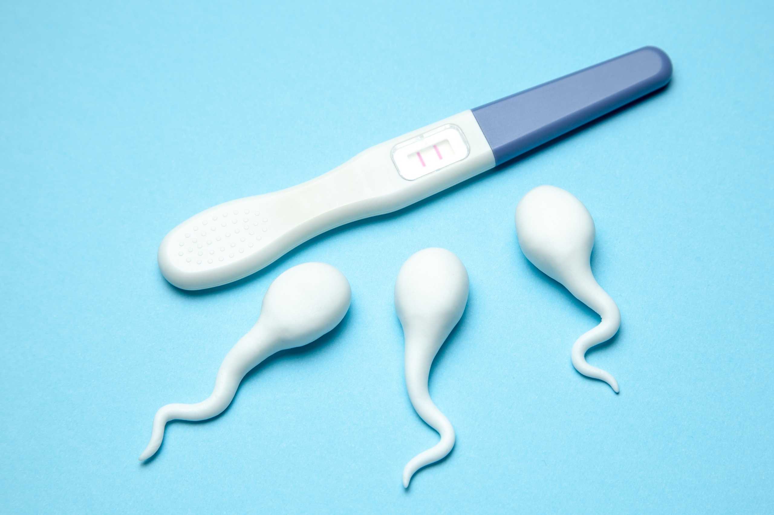 apakah menelan sperma bisa hamil