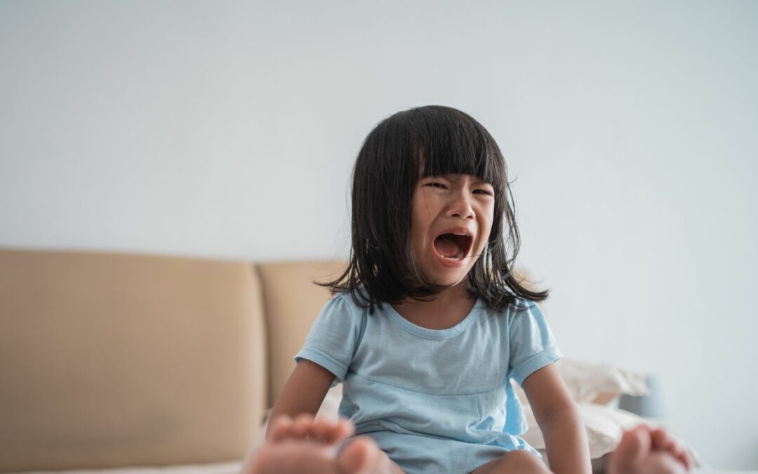 Cara Efektif Menghadapi Fase Terrible Two Dalam Perkembangan Anak