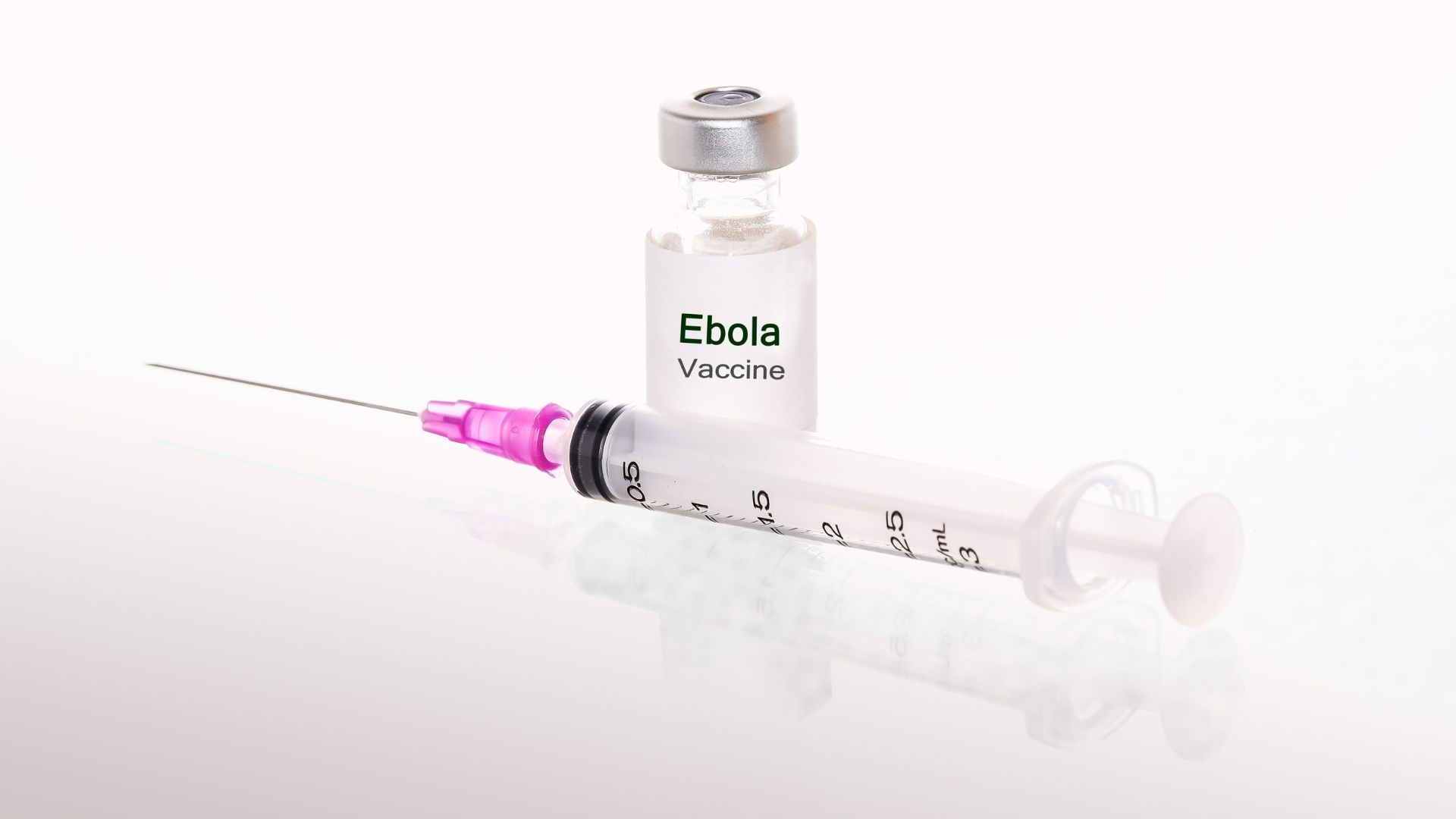 Ebola virus