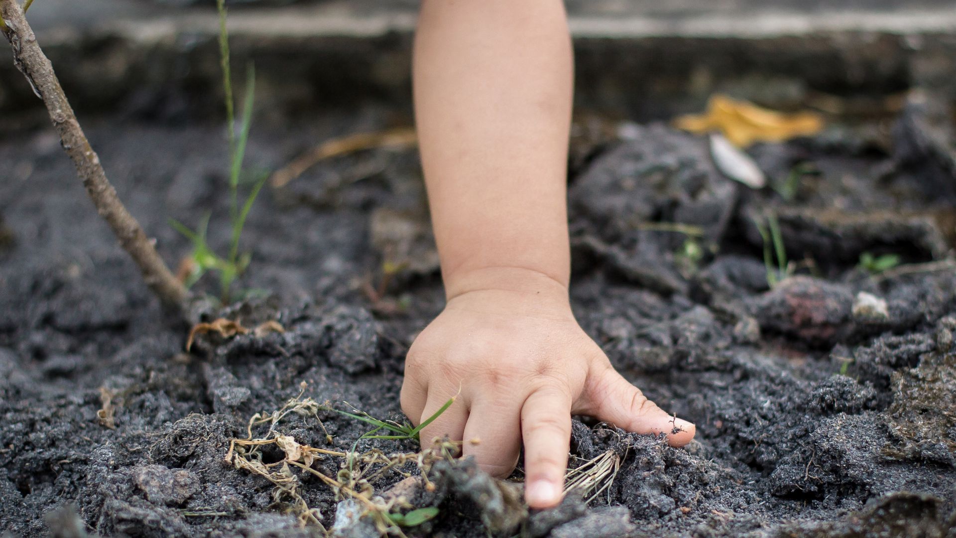 bagaimana cara untuk mencegah penyakit cacingan pada anak anak