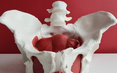 Apa Itu Prolaps Organ Panggul? Yuk, Kenali Tandanya Sejak Dini!