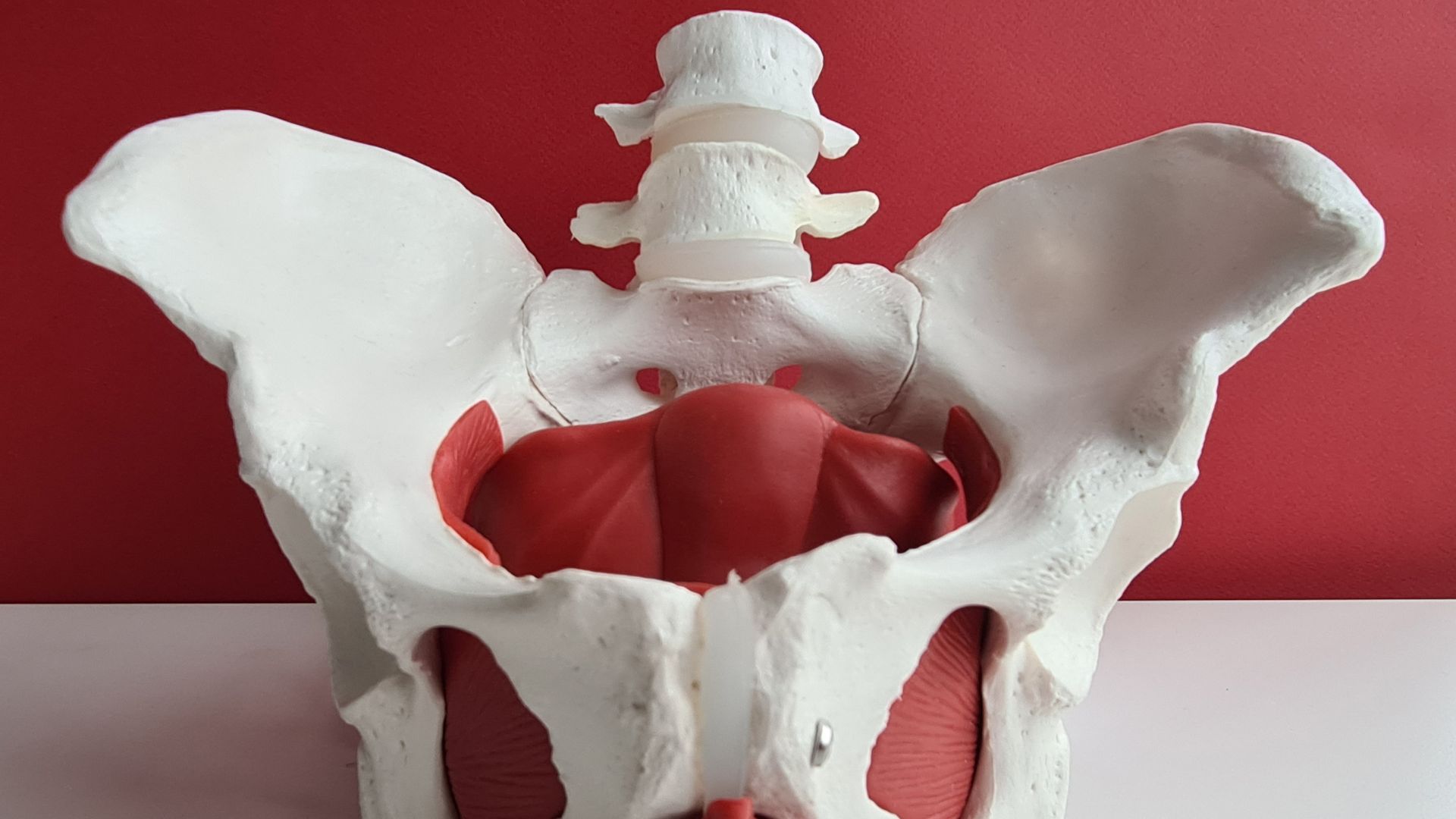 prolaps organ panggul