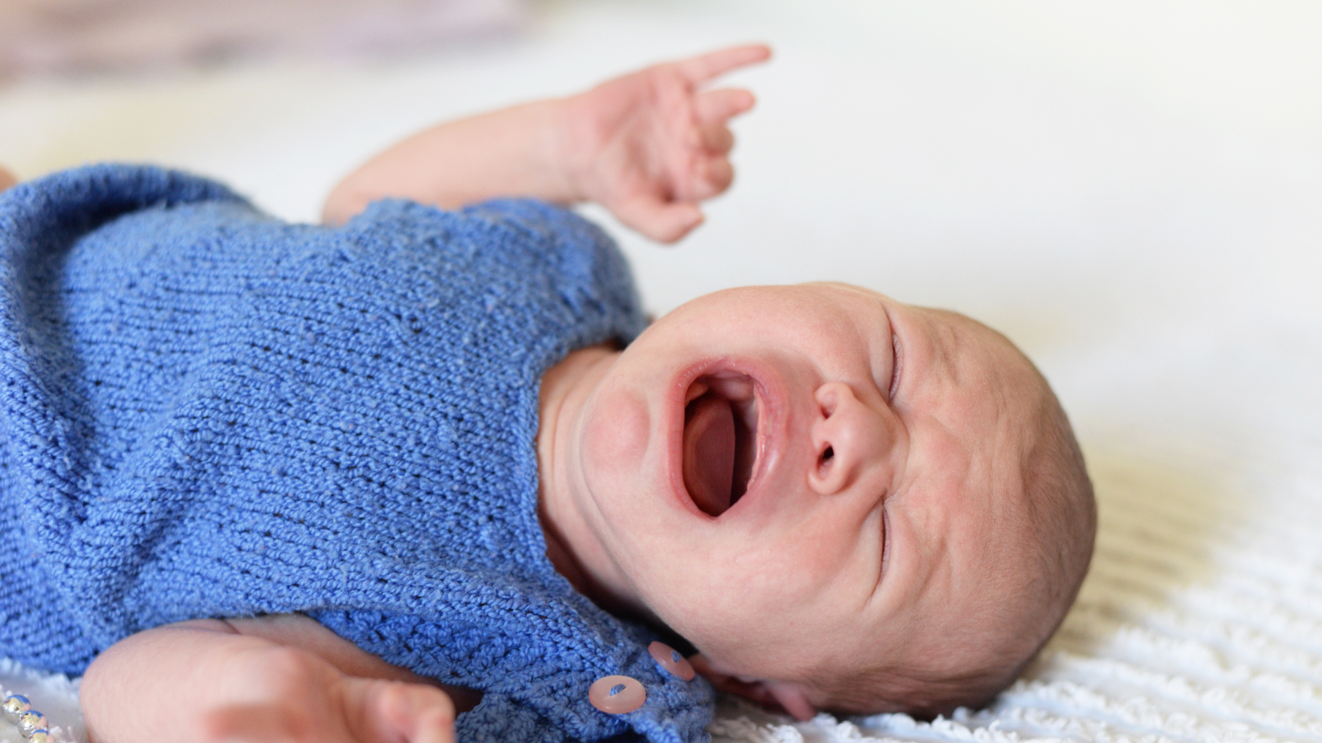 gastroschisis