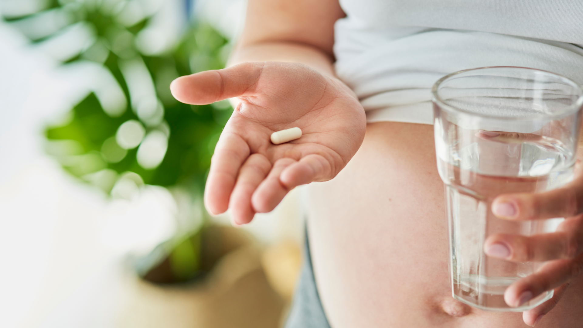 antihistamin adalah​
