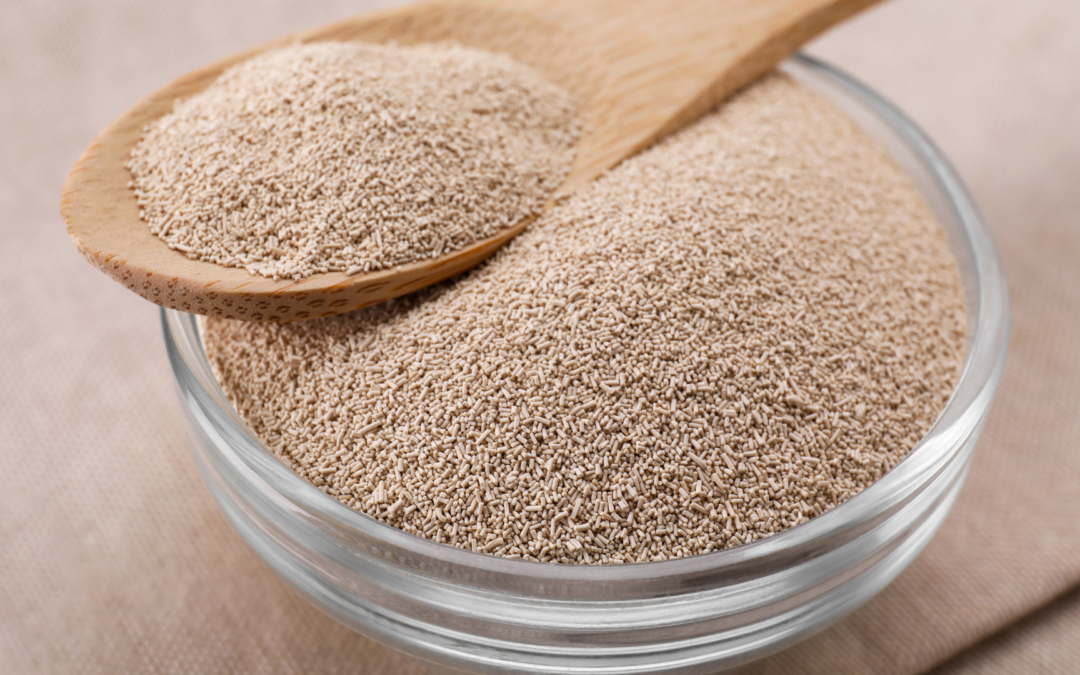 Ragi untuk Ibu Hamil, Rahasia Nutrisi atau Ancaman Kesehatan?