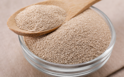 Ragi untuk Ibu Hamil, Rahasia Nutrisi atau Ancaman Kesehatan?