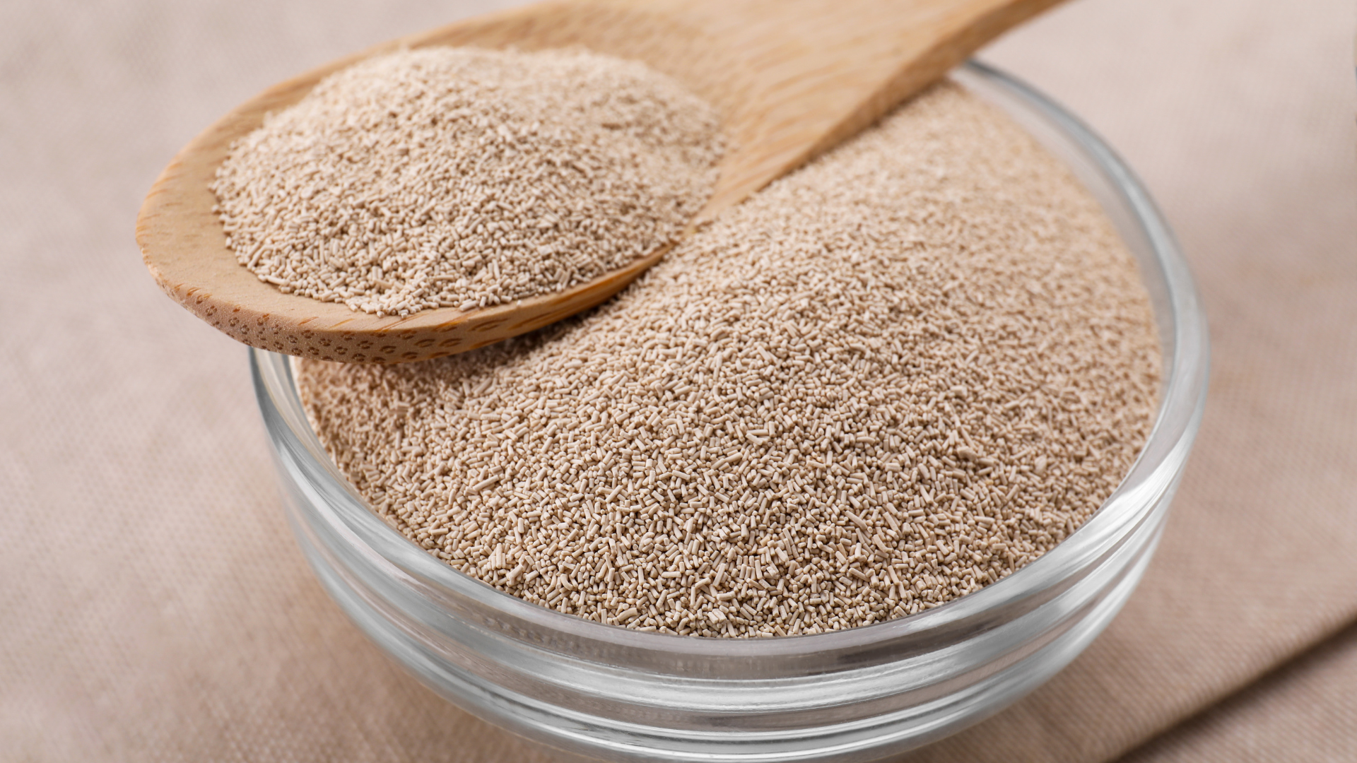ragi