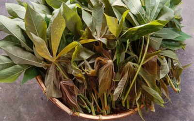 Manfaat Daun Singkong untuk Ibu Hamil, Kaya Nutrisi Penting