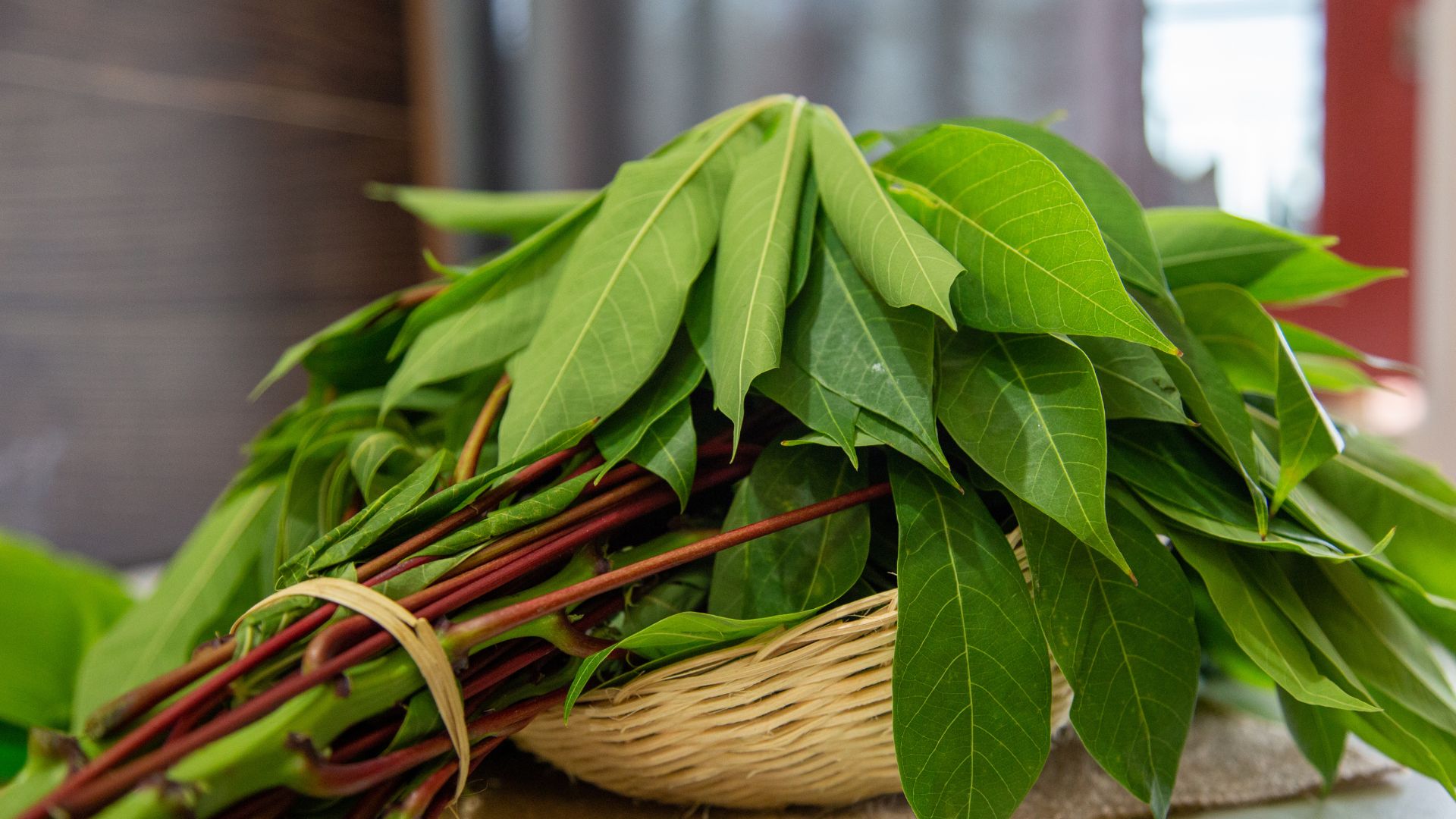 daun singkong untuk ibu hamil 