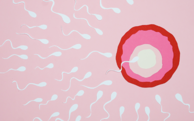 Sperma Bertahan Berapa Lama di Tubuh Wanita? Ini Faktanya!