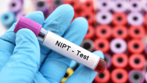 nipt adalah​