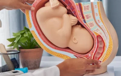 Kepala Janin Belum Turun? Ini Cara dan Latihan Agar Posisi Bayi di Bawah