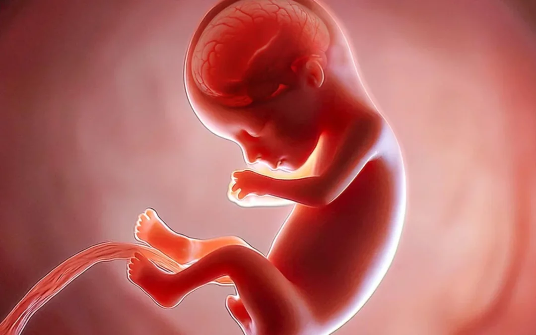 Pertumbuhan Janin Terhambat: Penyebab dan Tanda-Tanda yang Perlu Diwaspadai Ibu Hamil