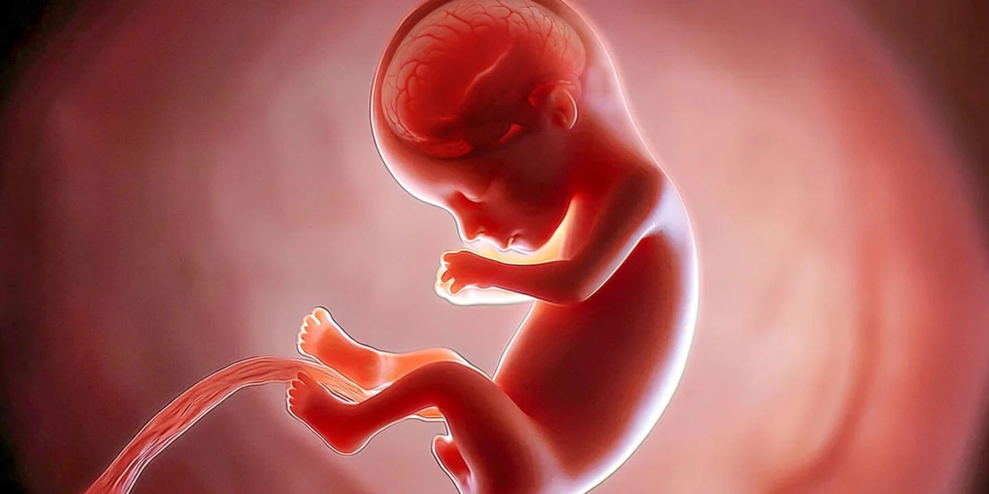 penyebab pertumbuhan janin terhambat