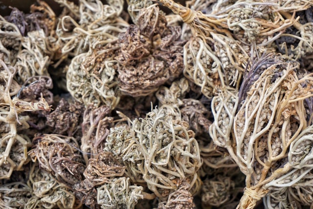 Apa Itu Rumput Fatimah? Kenali Risiko dan Bahayanya untuk Ibu Hamil dan Ibu Melahirkan