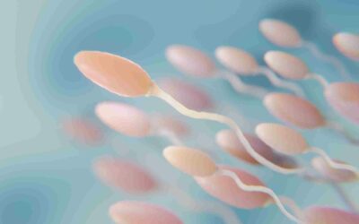 Apa Itu Analisa Sperma? Kenali Fungsi dan Waktu Ideal untuk Melakukannya
