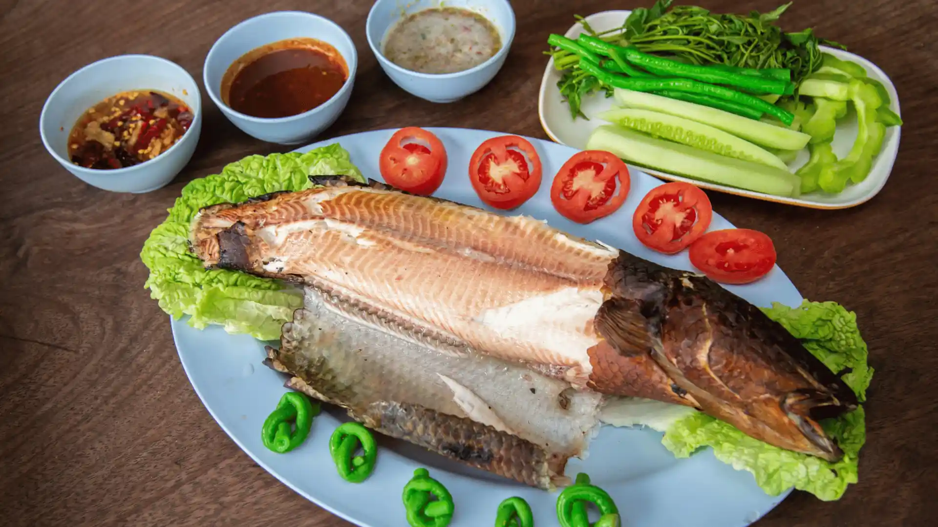 manfaat ikan gabus