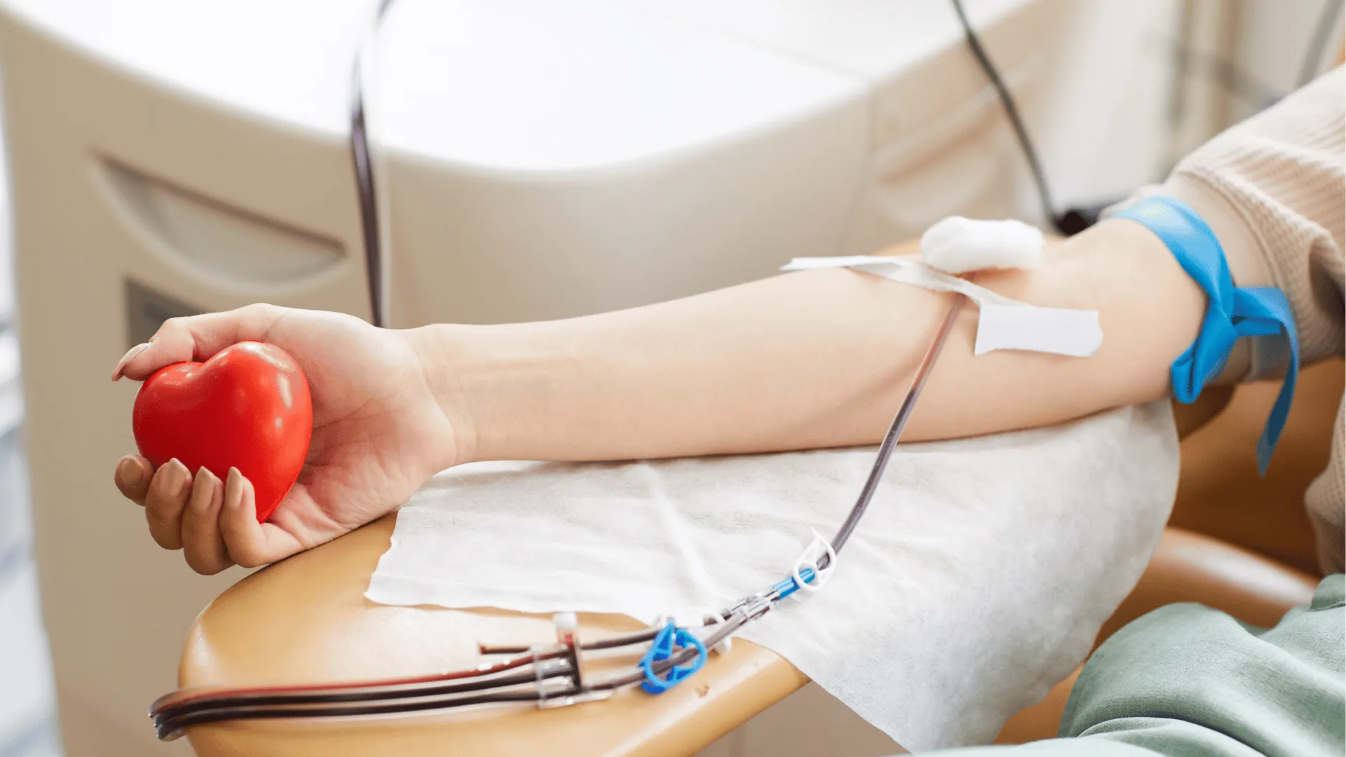 apakah ibu menyusui boleh donor darah