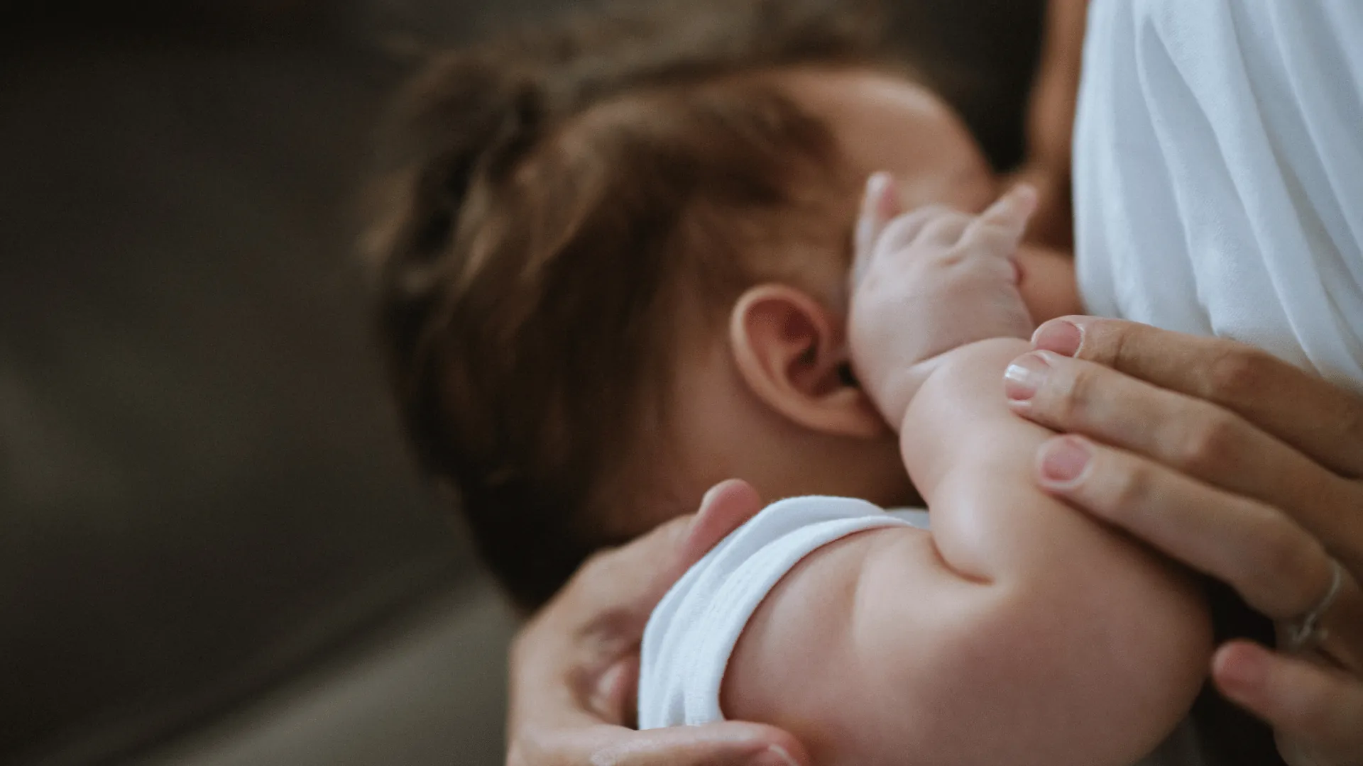 bayi asi kurus bayi asi kurus