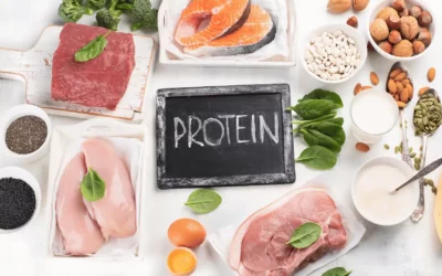 Perbandingan Kandungan Gizi Ikan: Mana yang Paling Tinggi Protein dan Omega-3?