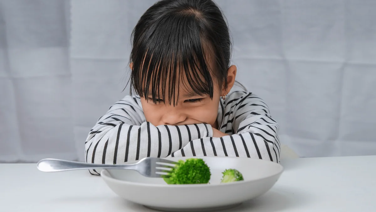 anak tidak mau makan sayur anak tidak mau makan sayur