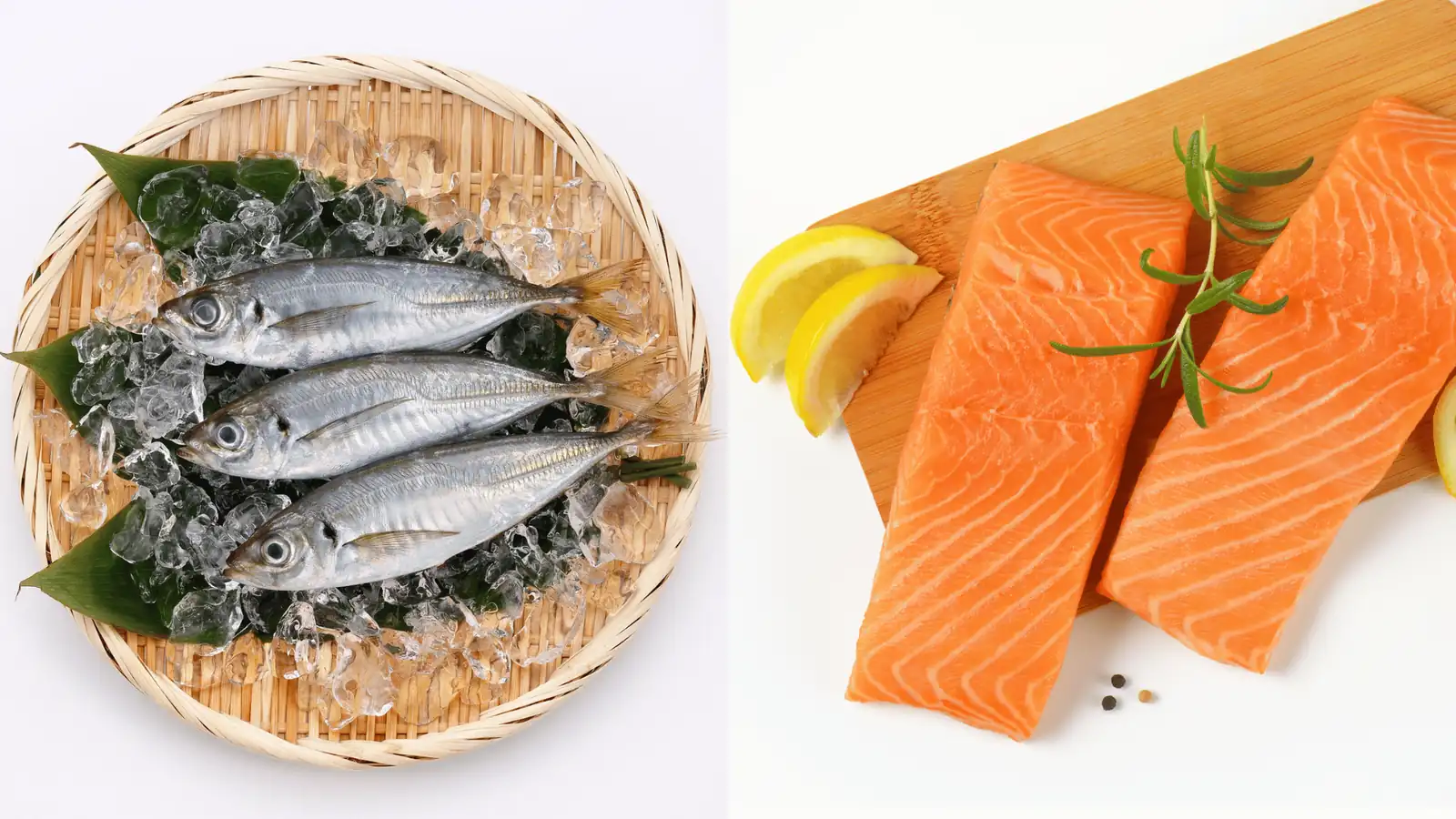 Ikan kembung vs ikan salmon